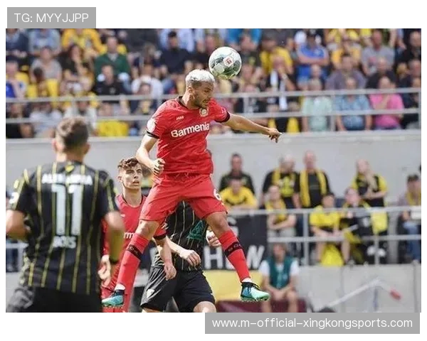 德甲赛季球队控球模式趋势分析